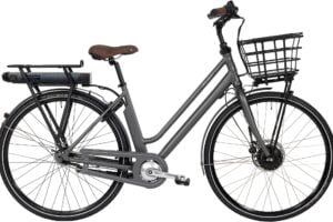 Raleigh Sussex E1 Elcykel Matgrå Dame
