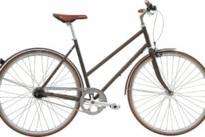 Raleigh Kent Damecykel Brun